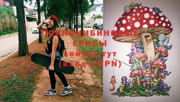СК Алзамай