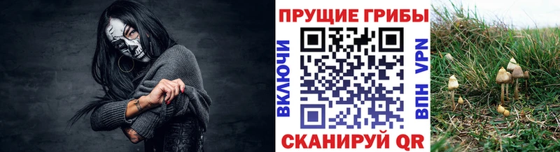 Галлюциногенные грибы GOLDEN TEACHER  купить   Обоянь 