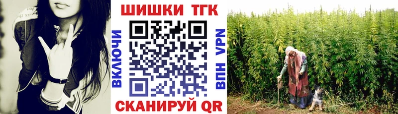 Бошки марихуана конопля где продают Обоянь